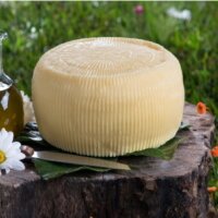 Pecorino Stracchinato Pugliese